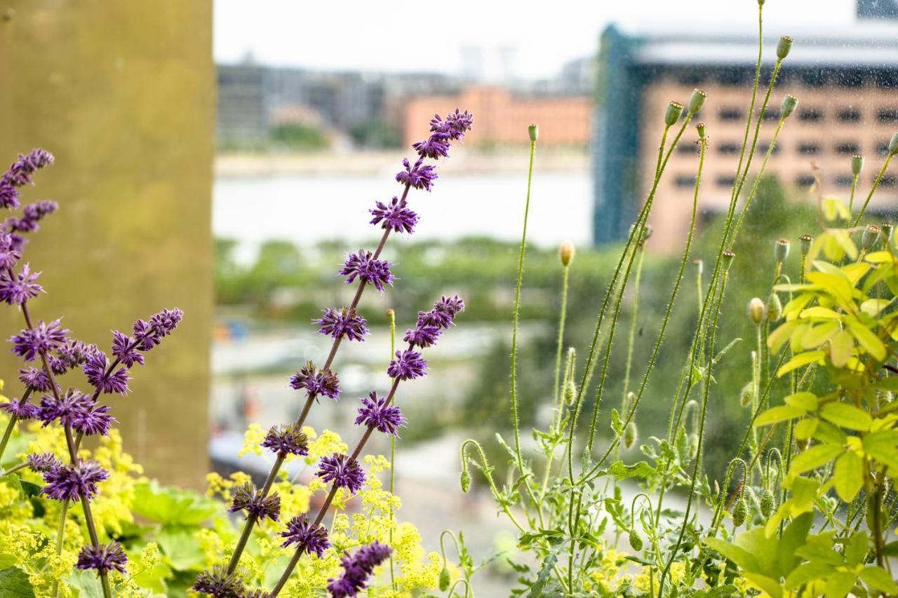 Хостел Next House Копенгаген Экстерьер фото The garden of the hotel